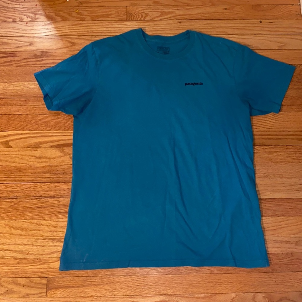 Patagonia T-Shirt